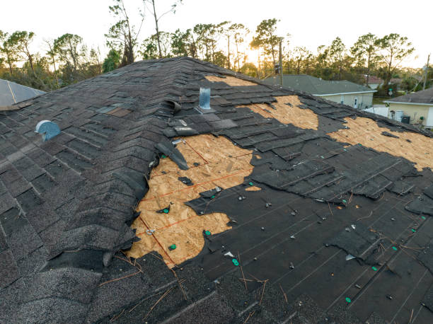 Skylights in Longboat Key, FL